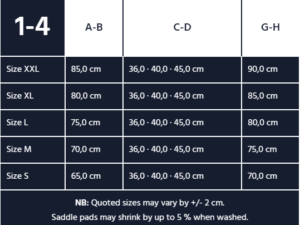 Western Sizing