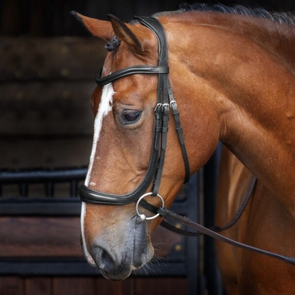 Ergonomic Cavesson Noseband