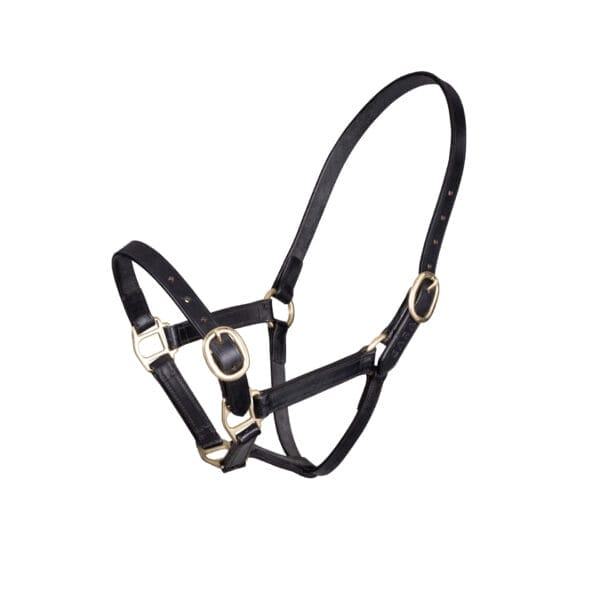 GARA Adjustable Halter